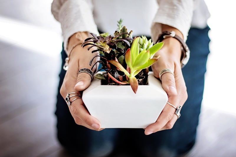 Whimsical Planters