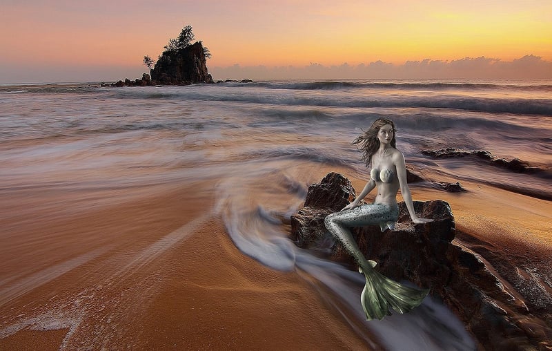 Mermaid Eats Image